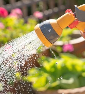 Bewatering